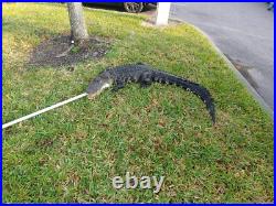 Wild American Alligator Rifle Shoulder Sling Strap gator swamp leather A27